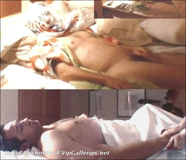 Ryan McPartlin and David Duchovny nude photos - BareMaleCelebs The Legendar...