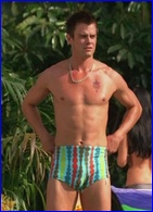 Josh Duhamel nude photo