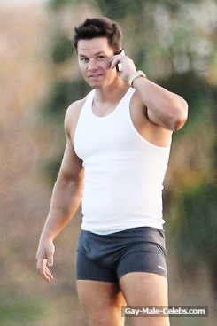 Hollywood Male Star Mark Wahlberg Paparazzi Bulge Photos