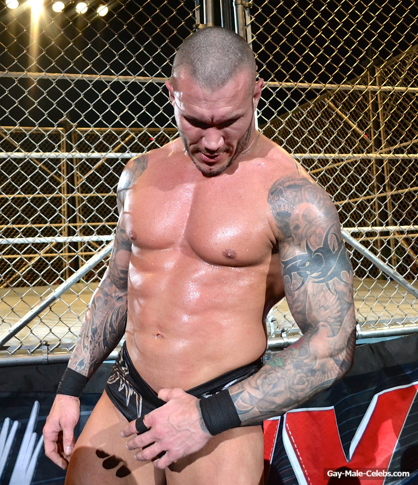 Randy Orton Nude And Sexy Photos