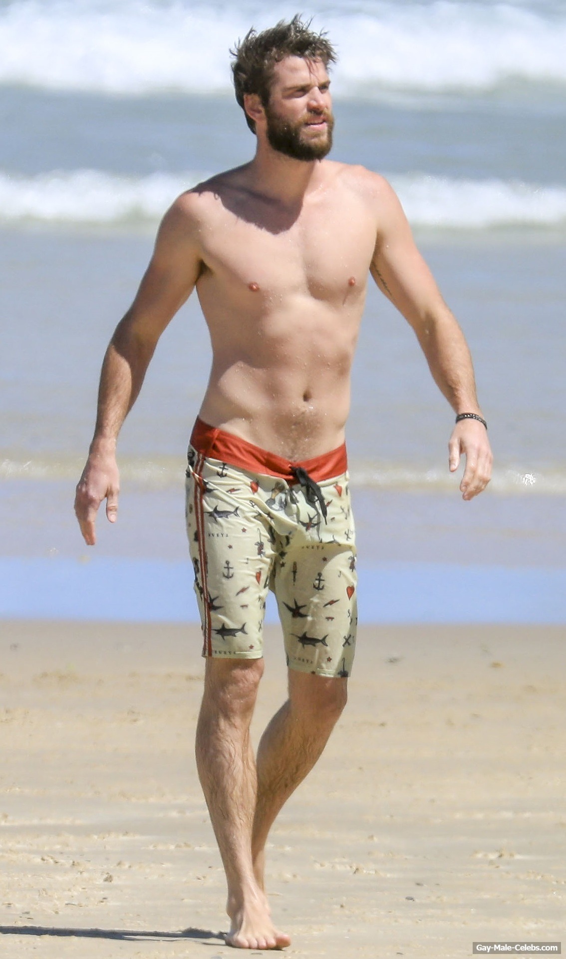 Liam Hemsworth Paparazzi Shirtless Beach Photos