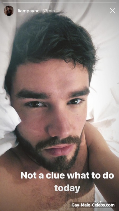 Liam Payne New Shirtless And Sexy Selfie Pics