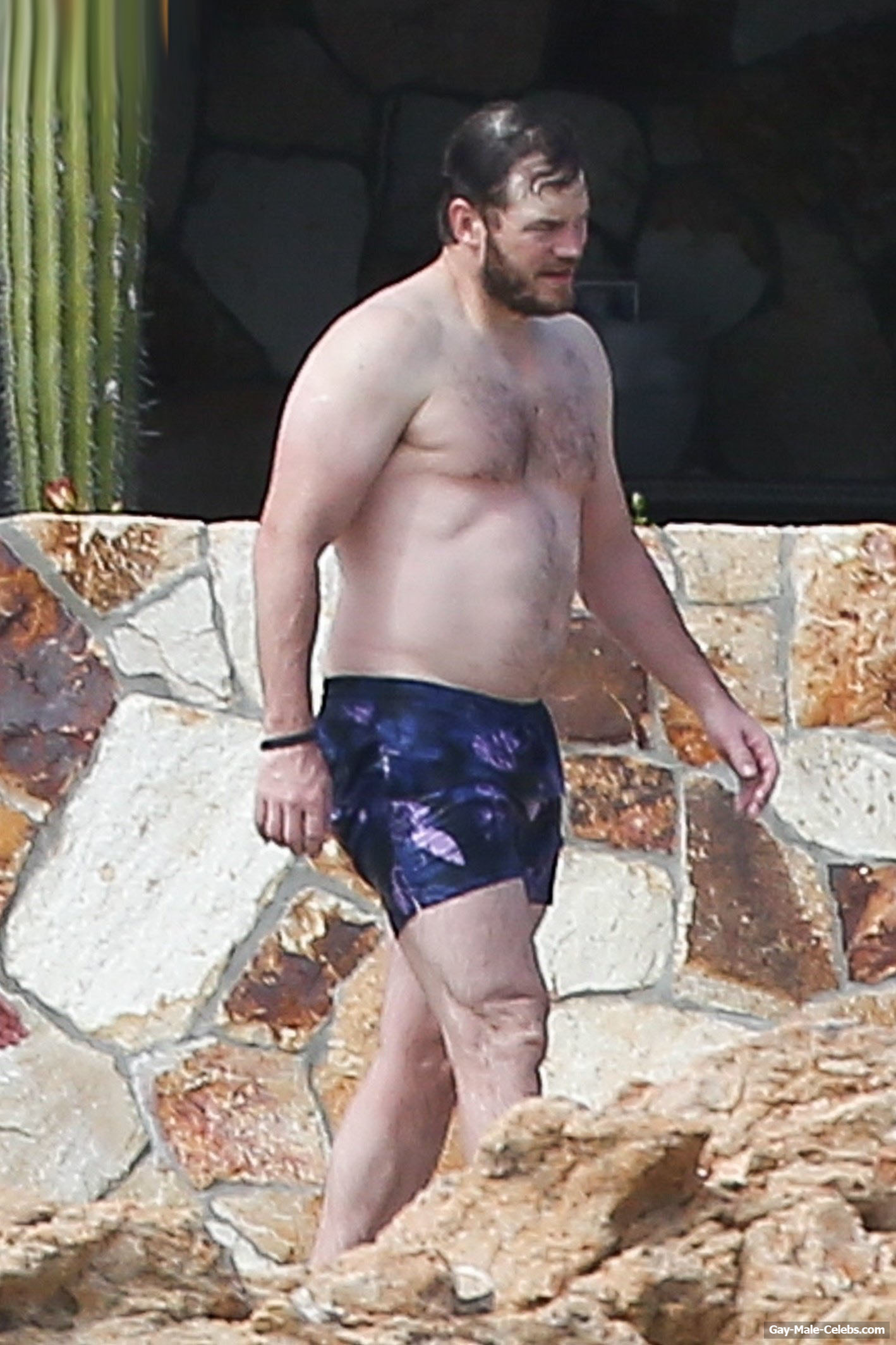 Chris Pratt Paparazzi Shirtless Photos During Vacation