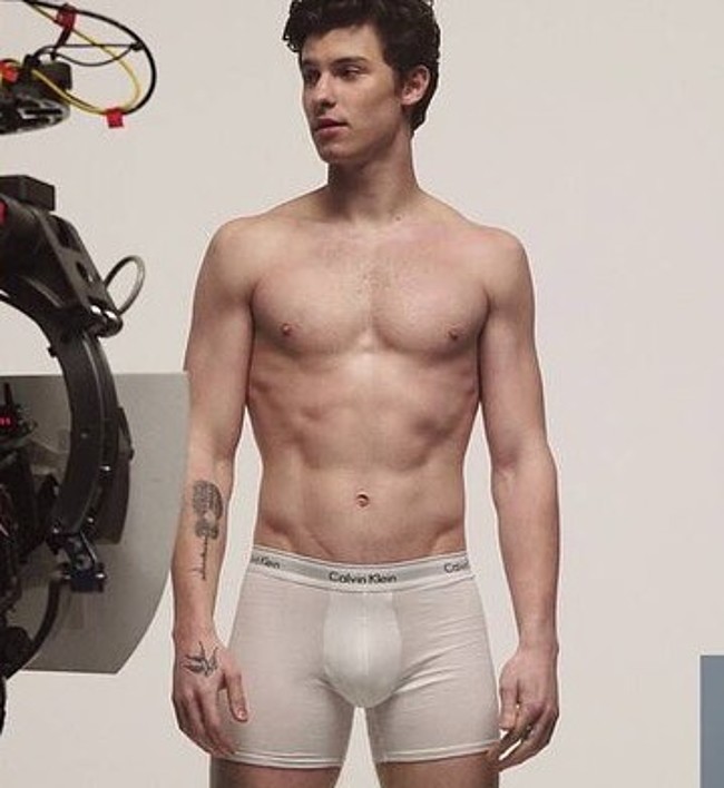 Shawn Mendes nude