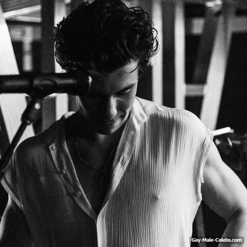 Shawn Mendes Shirtless And Bulge Photos