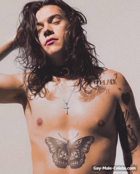 Harry Styles Shirtless And Sexy Photos