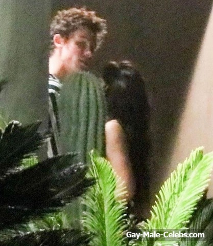 Shawn Mendes Caught Shirtless And Sexy With His Girlfriend