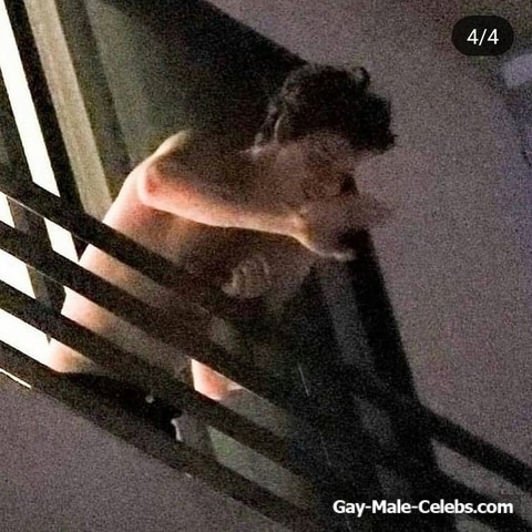 Shawn Mendes Caught Shirtless And Sexy With His Girlfriend