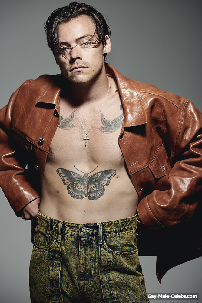 Harry Styles New Sexy Shirtless Photoshoot