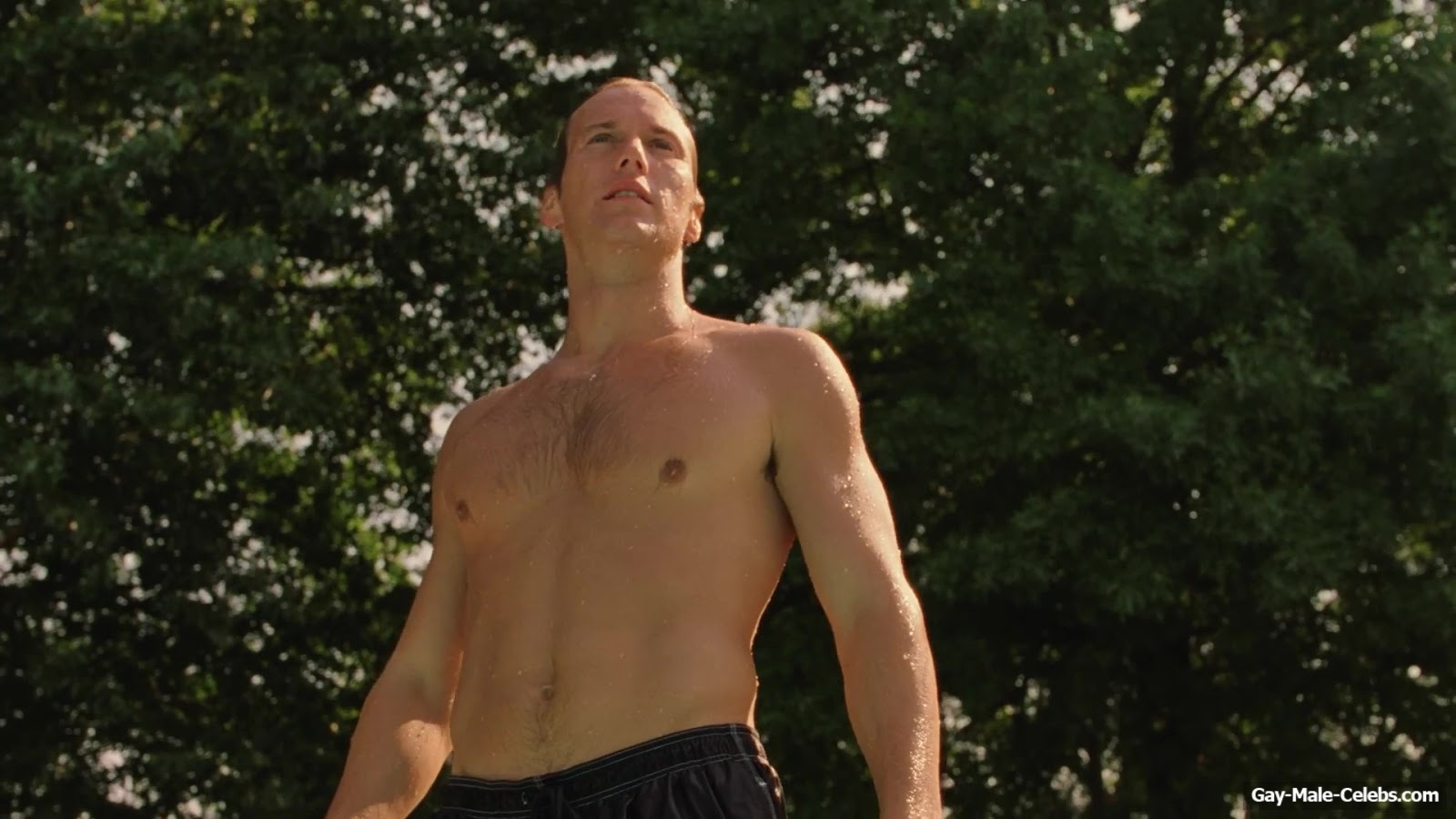 Patrick Wilson Nude And Sex Scenes