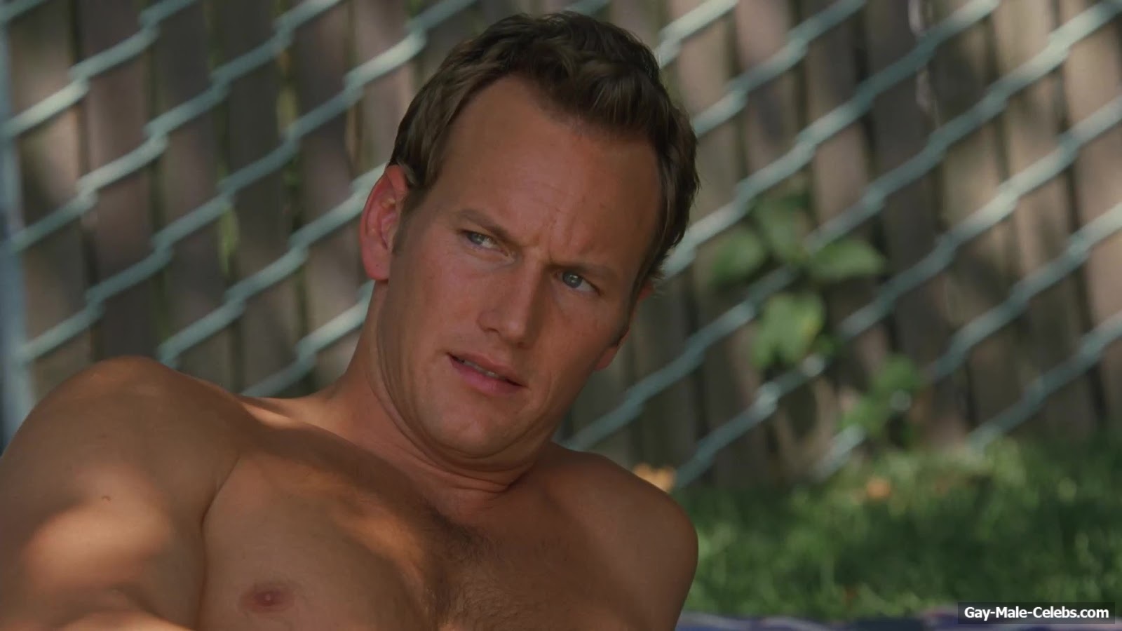 Patrick Wilson Nude And Sex Scenes