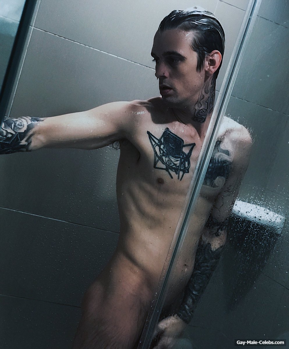Aaron Carter Nude And Sexy Photos