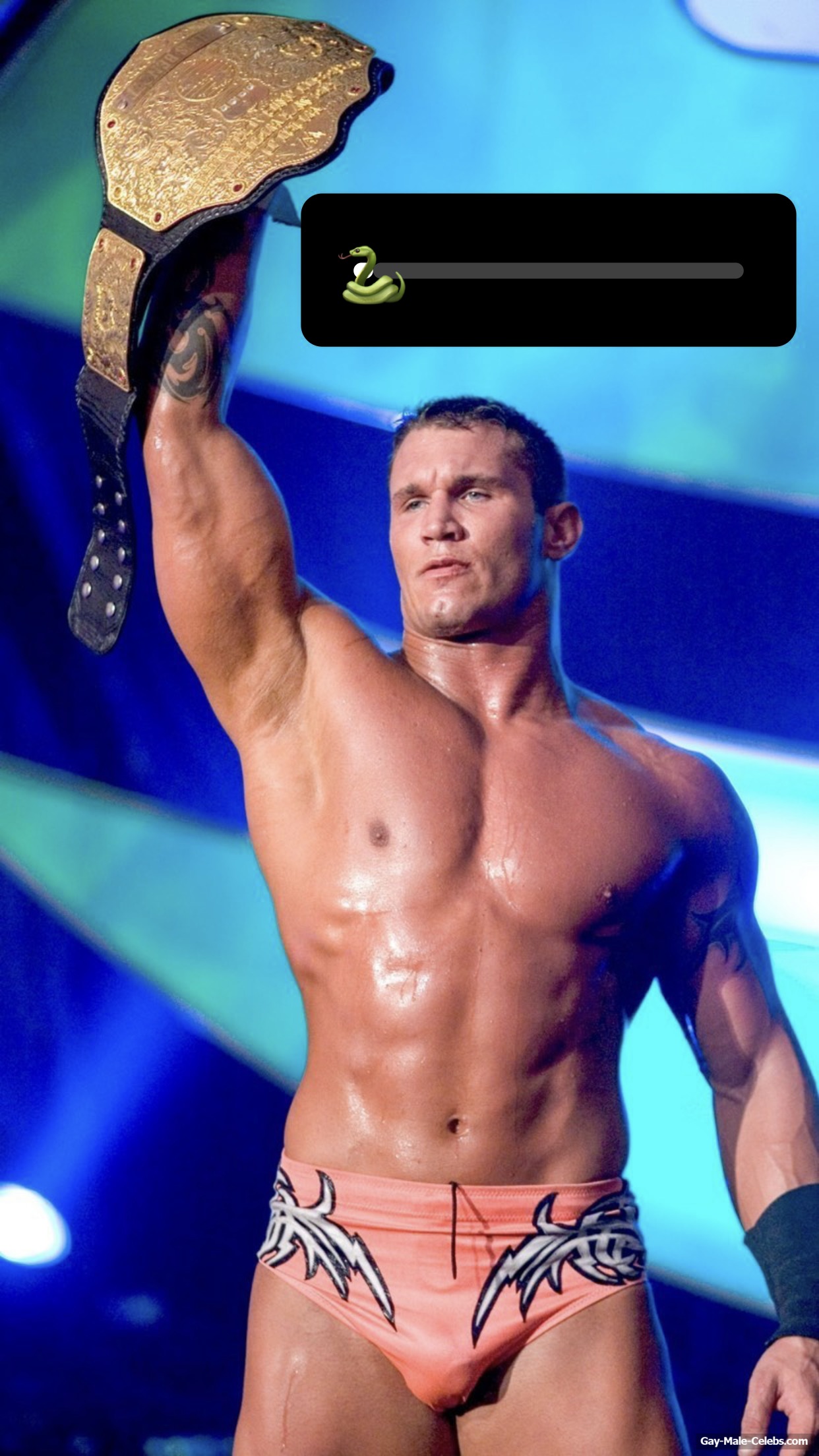 Free Randy Orton Cut Cock In Wet Trunks & Nude Ass | The Gay Gay.