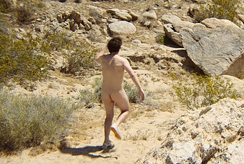 Andy Samberg cock nudes