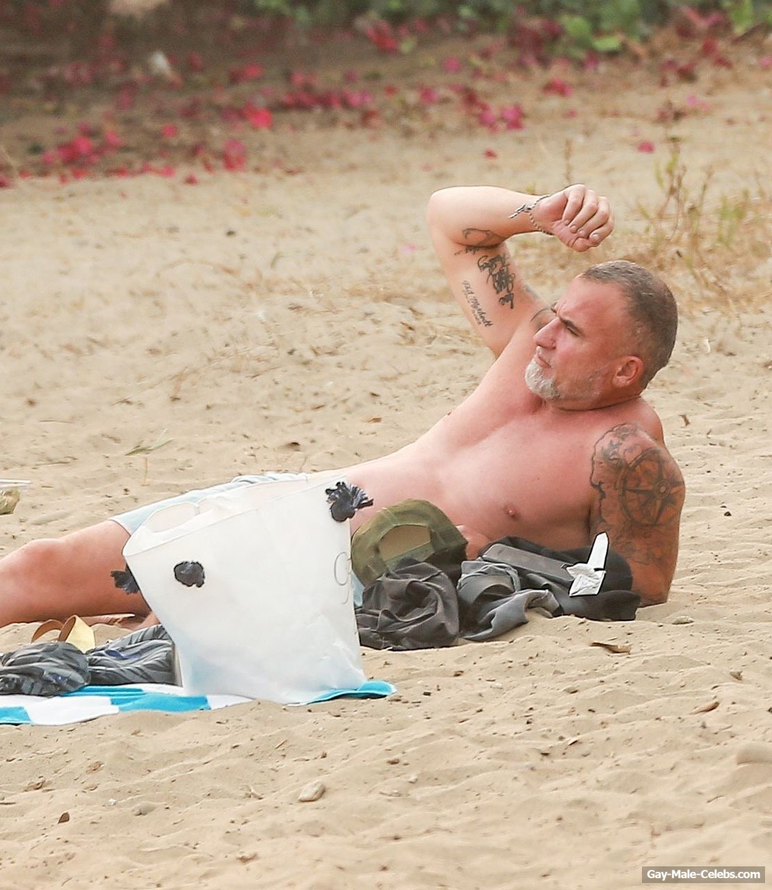 Dominic purcell shirtless