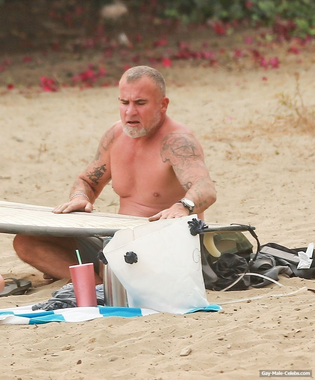Dominic Purcell Paparazzi Shirtless Beach Photos