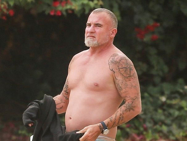 Dominic Purcell sexy