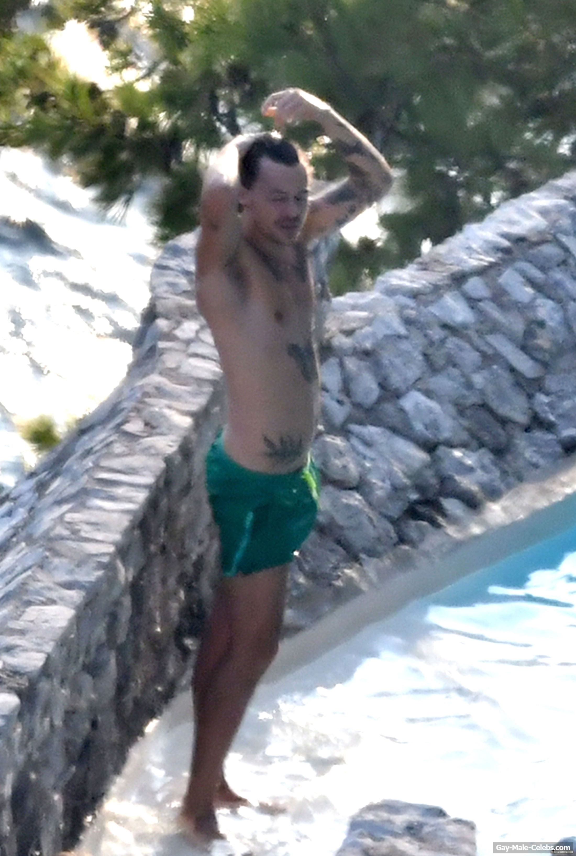 Harry Styles Shows Off His Erect Penis