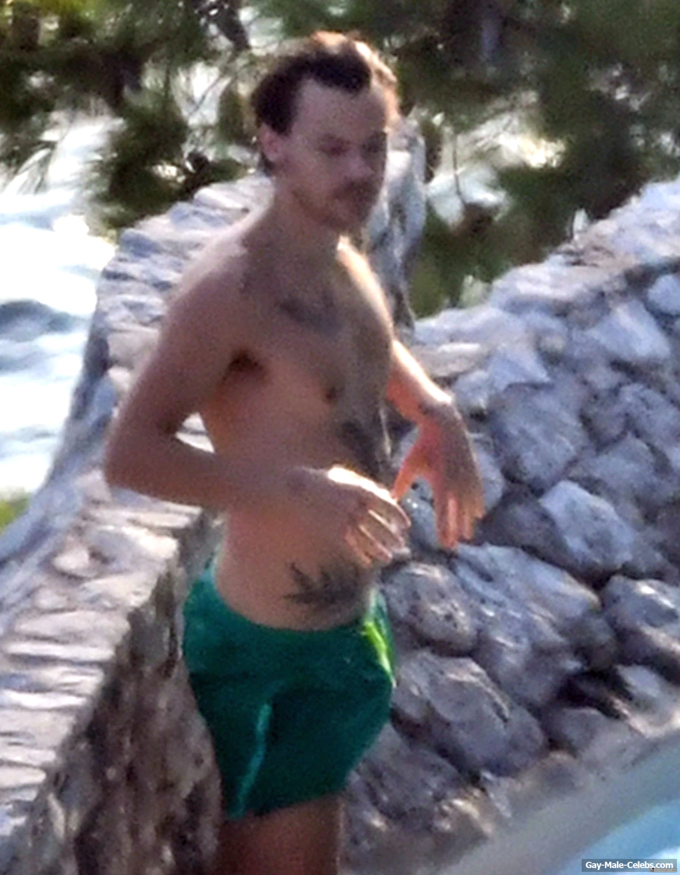 Harry Styles Shows Off His Erect Penis