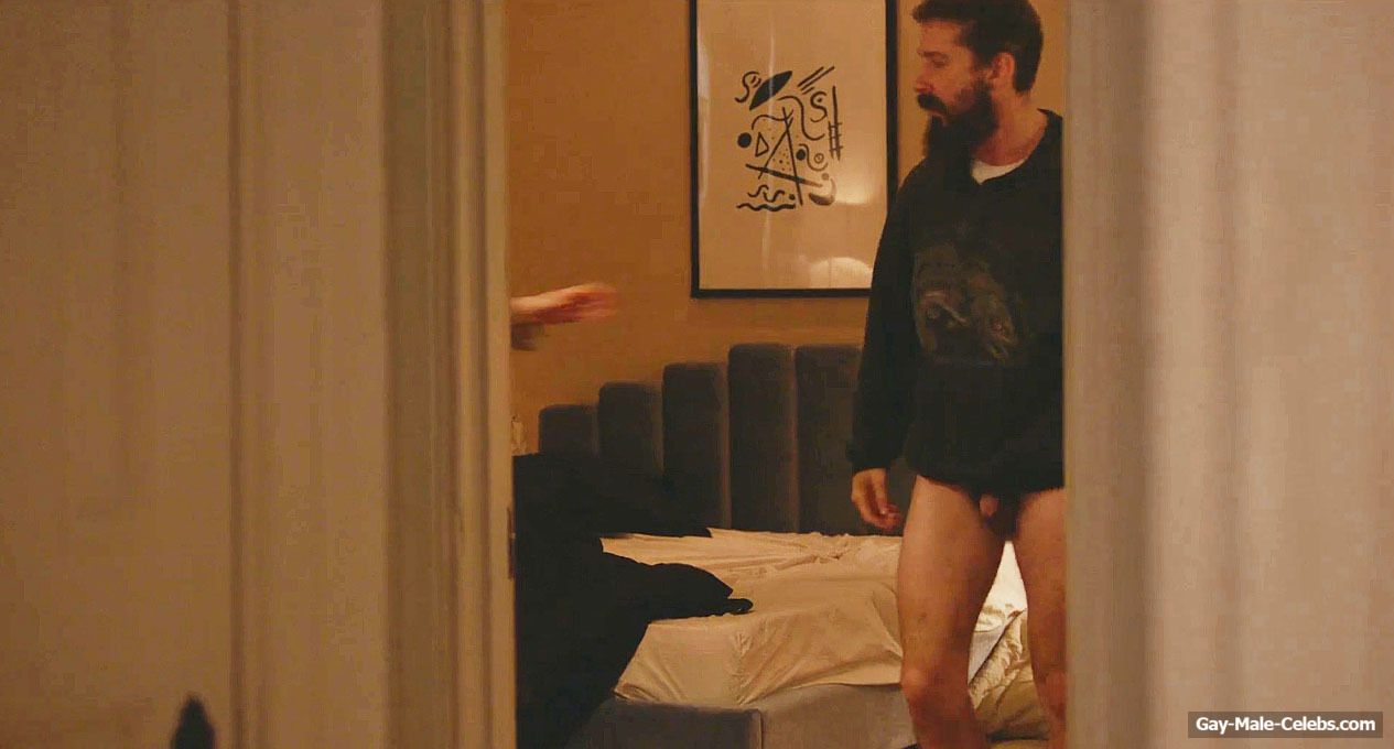 Could you imagine seeing Shia LaBeouf nude dick in Pieces of a Woman? 