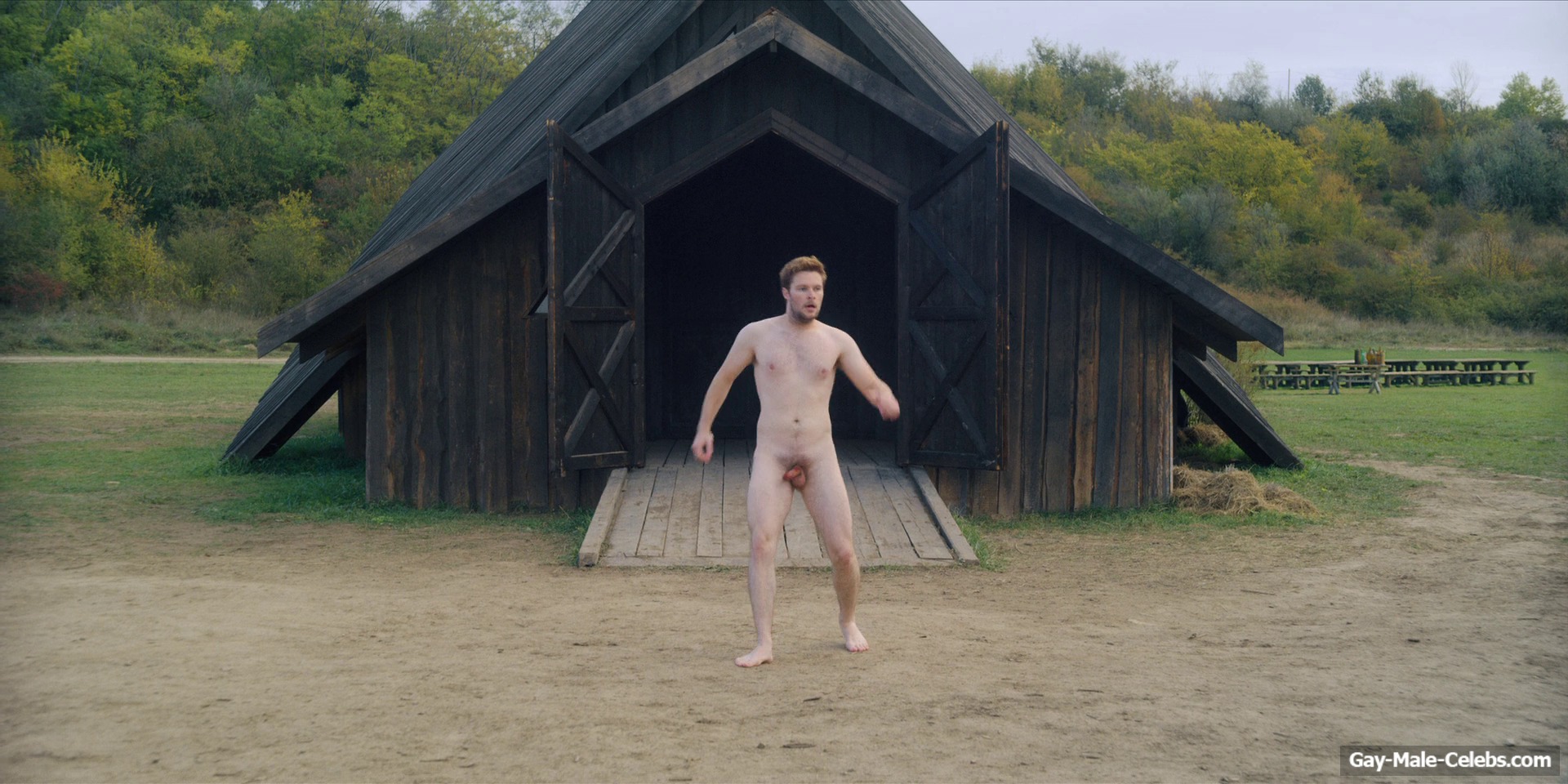 Jack Reynor Nude Cock &amp; Ass In Midsommar