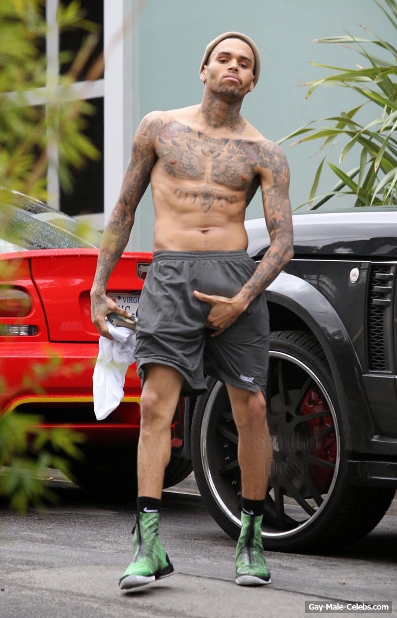 Chris Brown Nude Dick