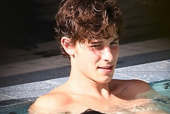 Shawn Mendes hot