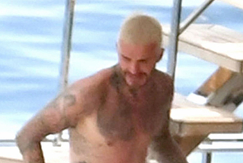 David Beckham porn