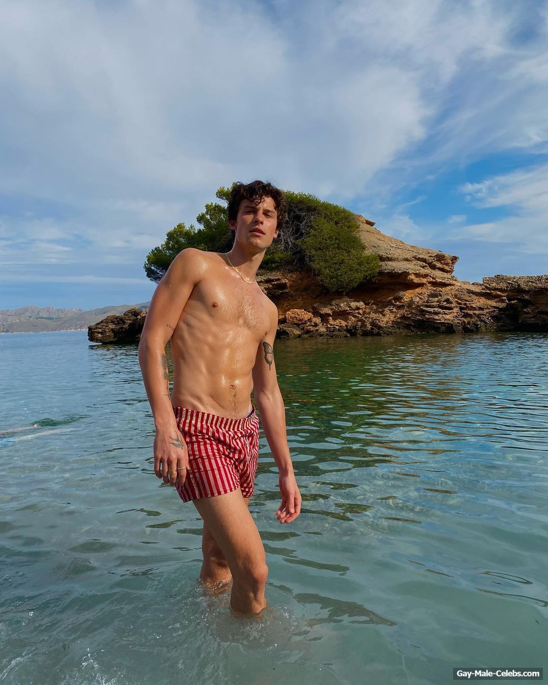 Shawn Mendes Bulge And Shirtless Beach Photos