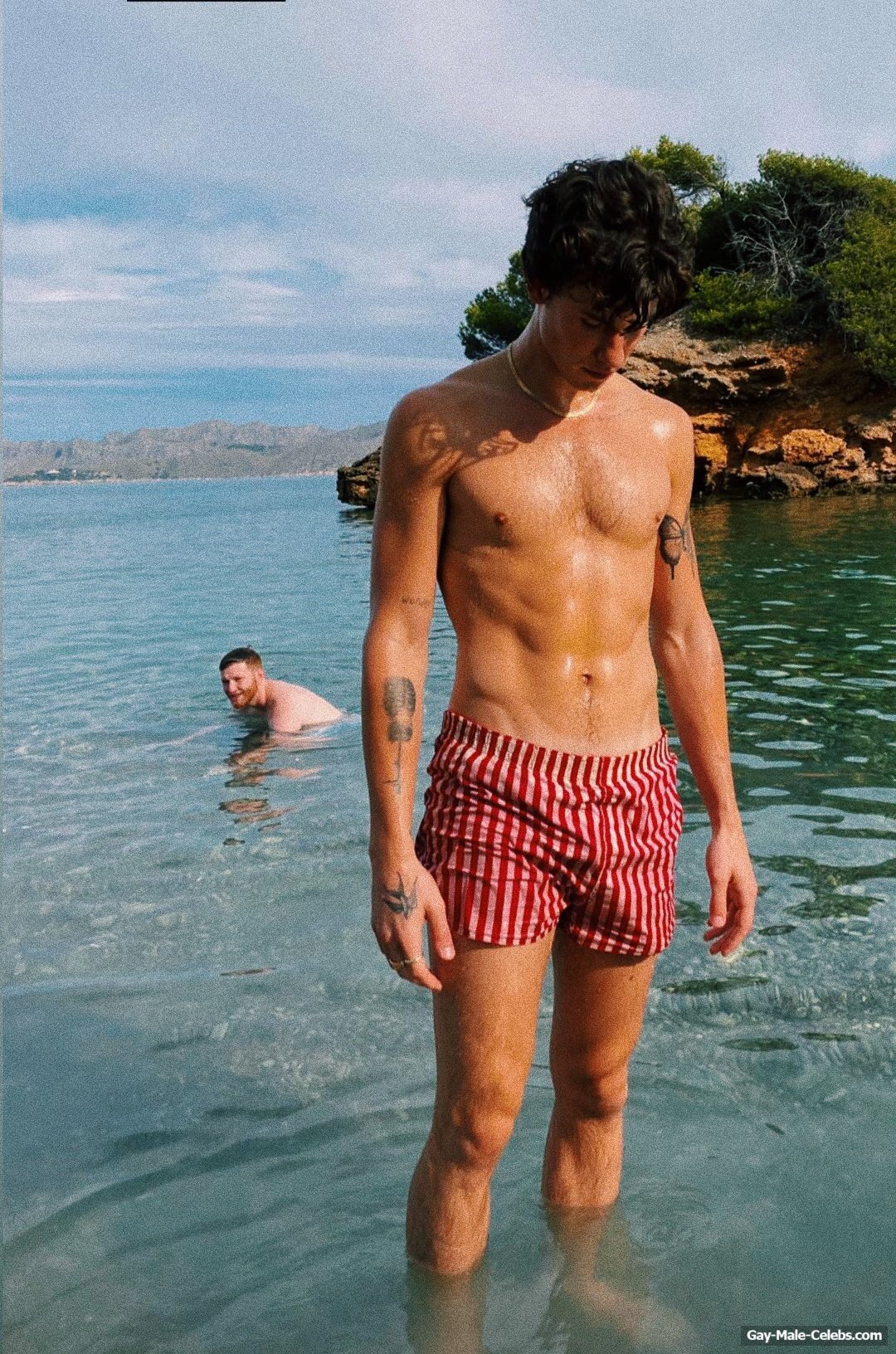 Shawn Mendes Bulge And Shirtless Beach Photos