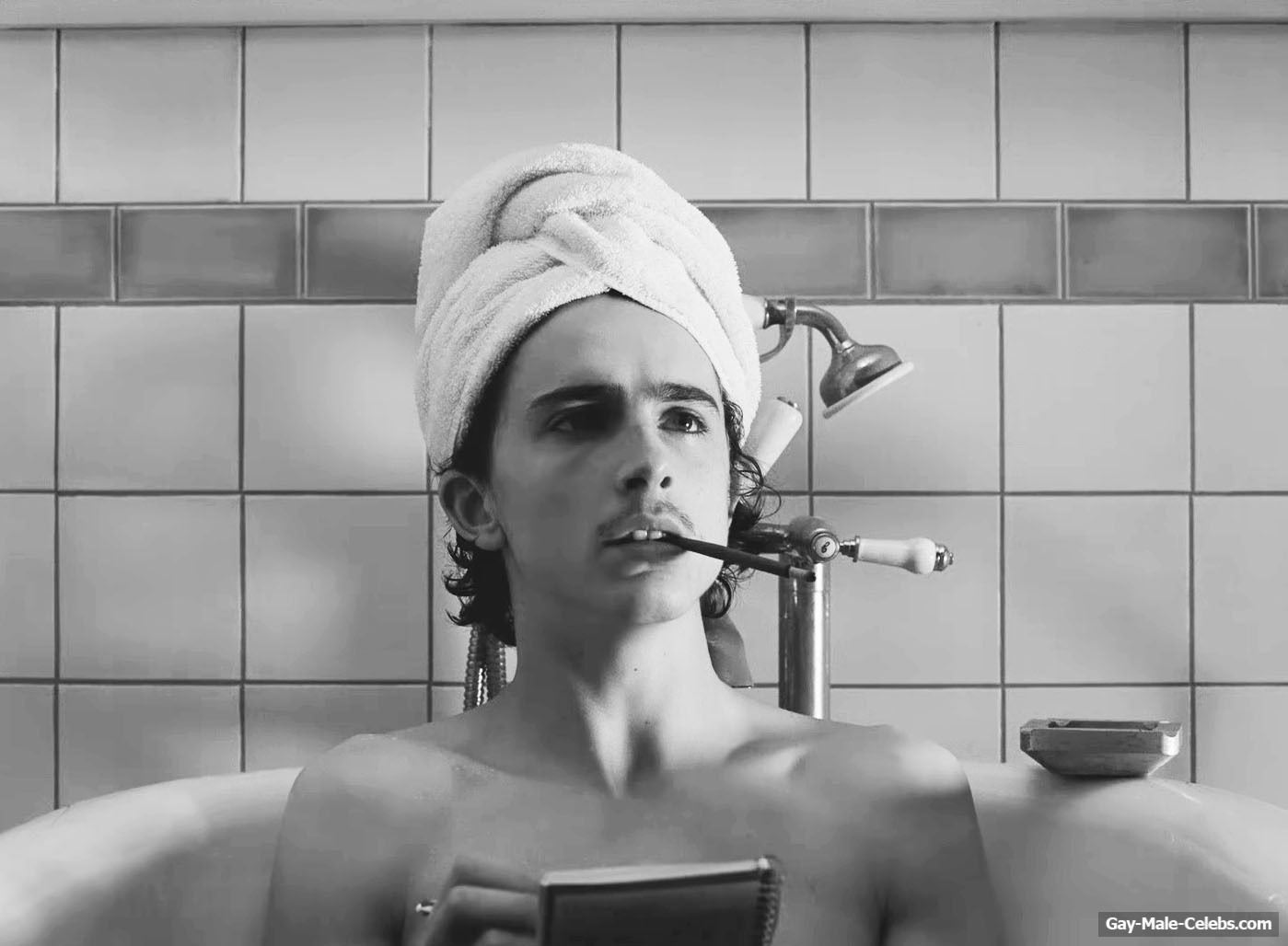 Timothee Chalamet Nude Penis in The French Dispatch