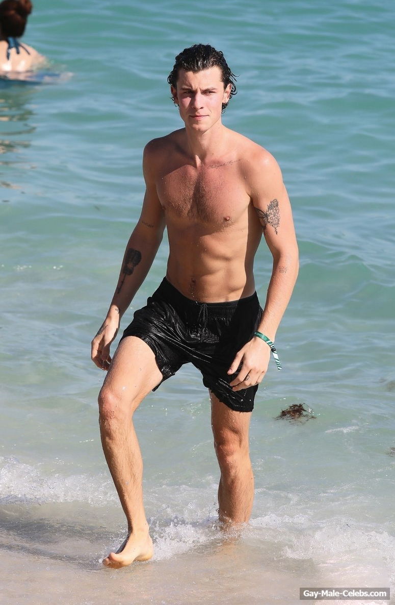 Shawn Mendes Looks Hot Shirtless On A Beach