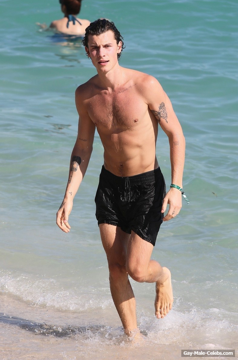 Shawn Mendes Looks Hot Shirtless On A Beach