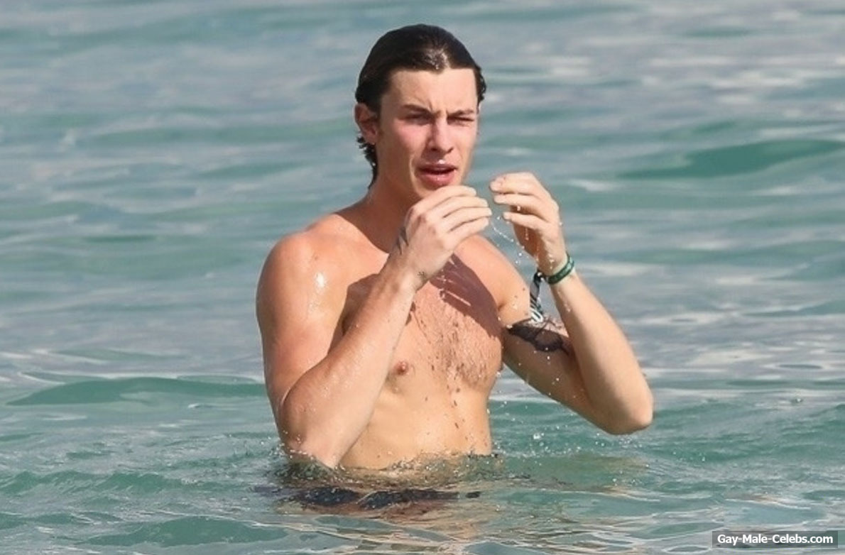 Shawn Mendes Caught Meditation Shirtless On A Beach (Video)