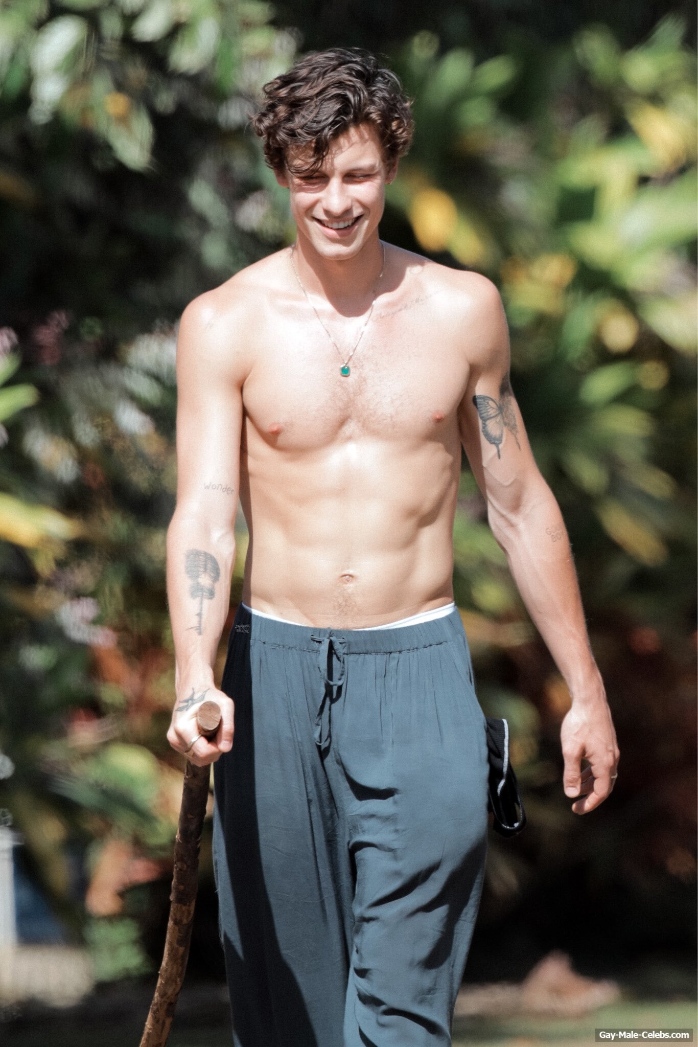 Shawn Mendes Great Bulge &amp; Shirtless In Brazil
