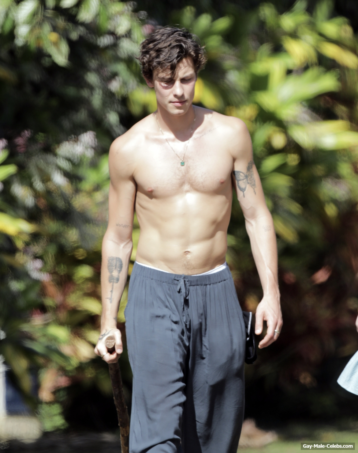 Shawn Mendes Great Bulge &amp; Shirtless In Brazil