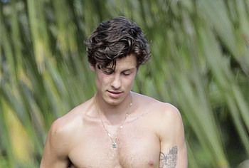 Shawn Mendes shirtless pics