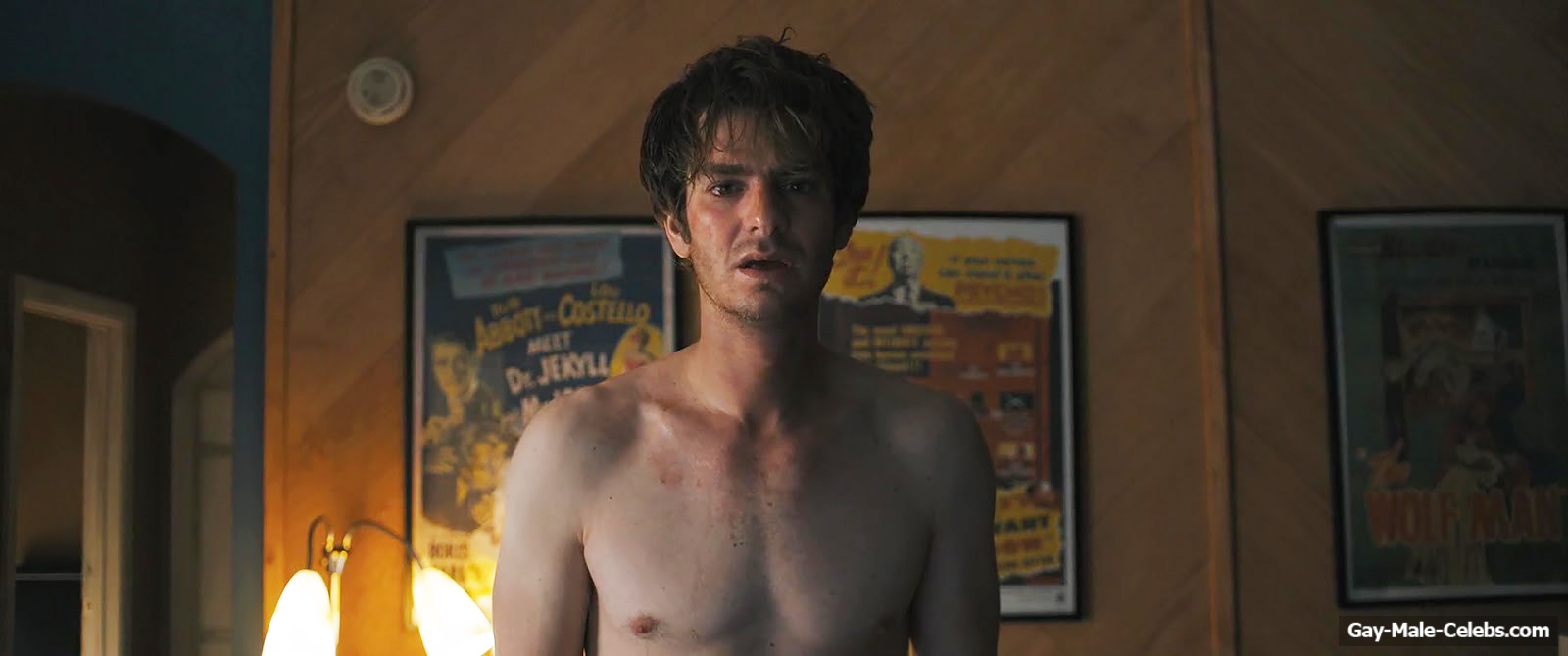 Andrew garfield under the silver lake naked