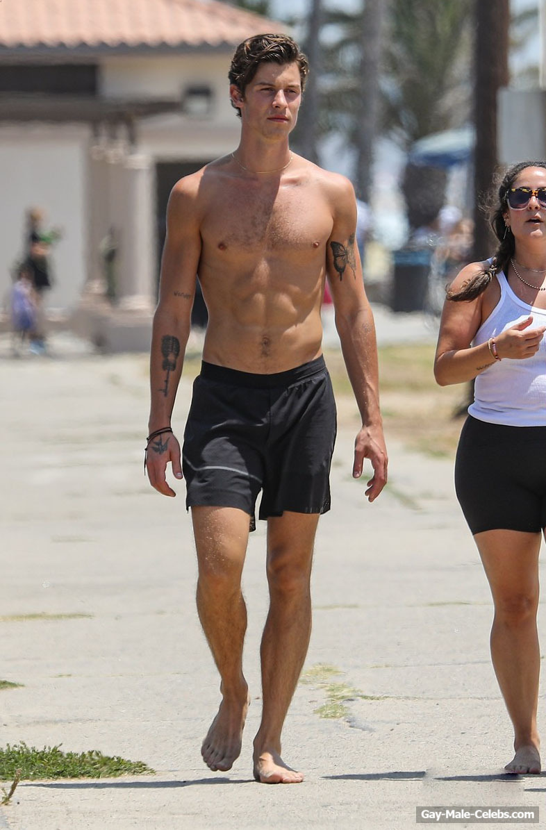 Shawn Mendes Shows His Gorgeous Body in Santa Monica