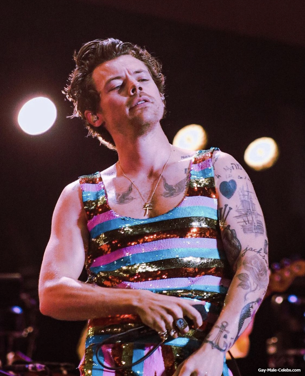 Harry Styles Sexy And Bulge During Concert