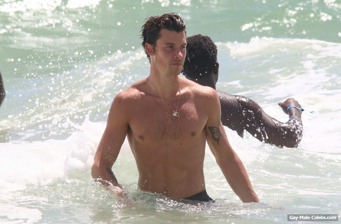 Shawn Mendes Continues To Delight Us With His Shirtless Body