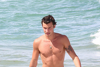 Shawn Mendes shirtless