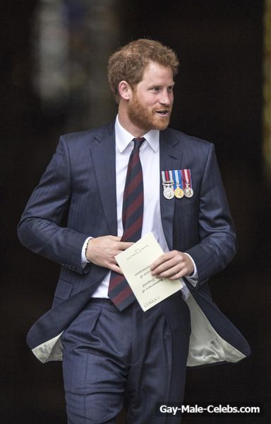 Prince Harry Shirtless And Bulge Photos