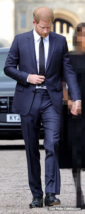 Prince Harry Shirtless And Bulge Photos