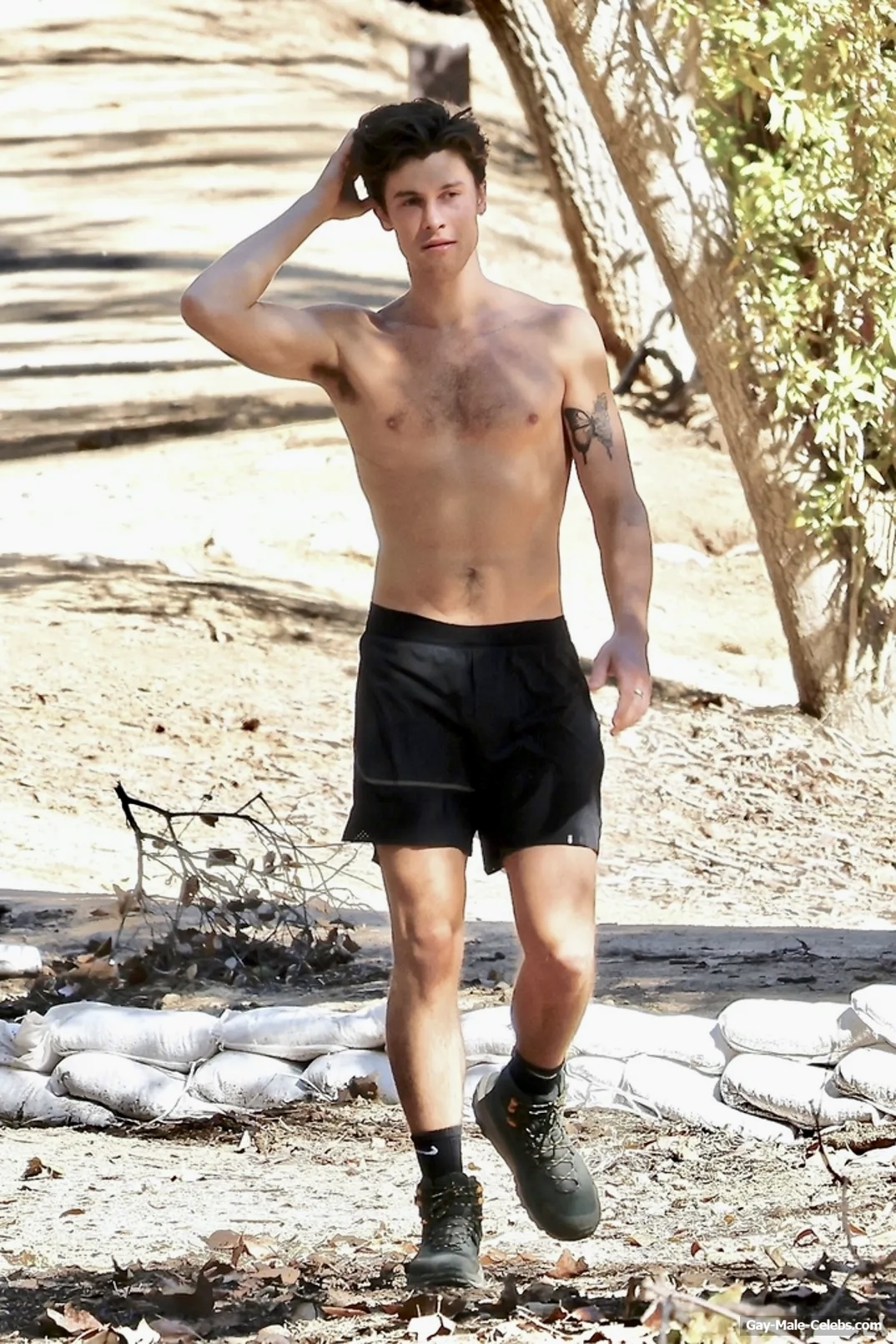 Shawn Mendes Sexy Shirtless And Bulge Pics
