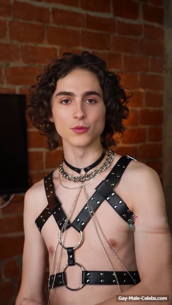 Timothée Chalamet Shows His Hot Body in BDSM Outfit (deep fake)