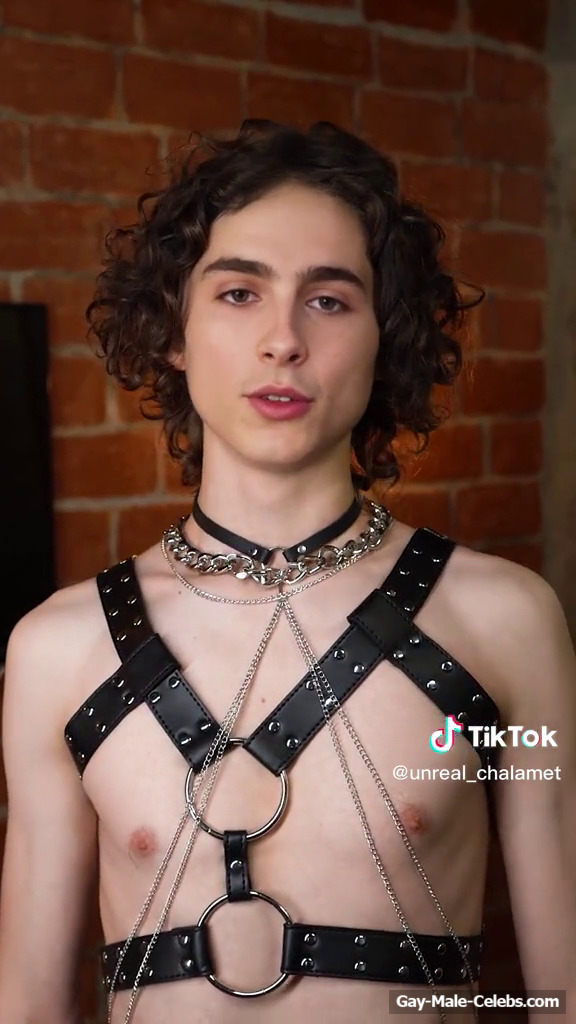 Timothée Chalamet Shows His Hot Body in BDSM Outfit