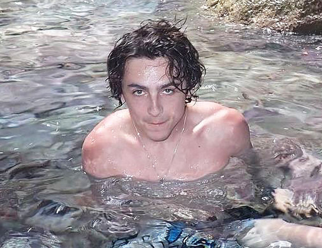 Timothee Chalamet sexy nude photos