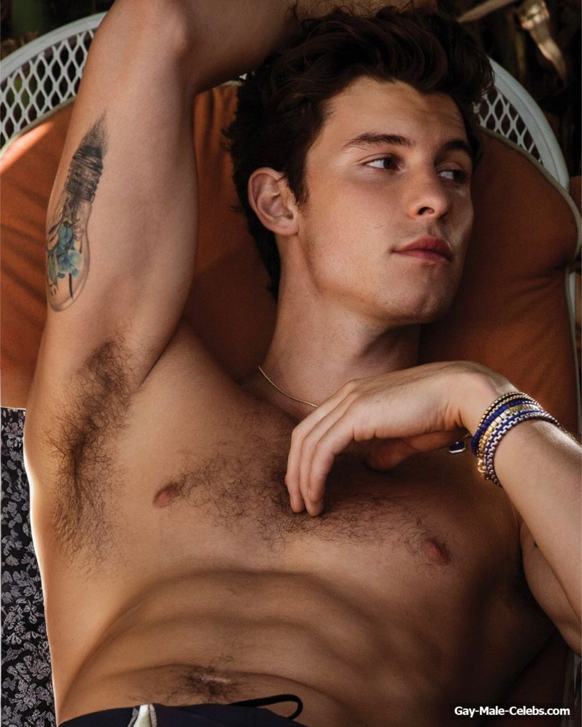 Shawn Mendes Nude photo