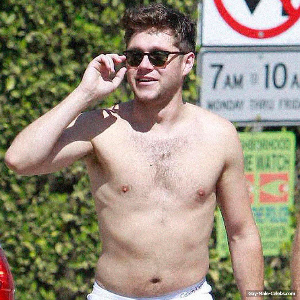 Niall Horan Shirtless And Bulge Photos